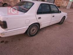 كيا بوتينشيا